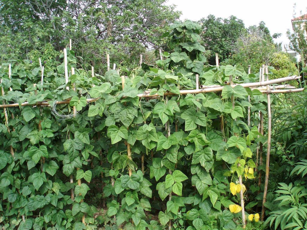 Marinos Studios At Lourdata Village Ngoại thất bức ảnh