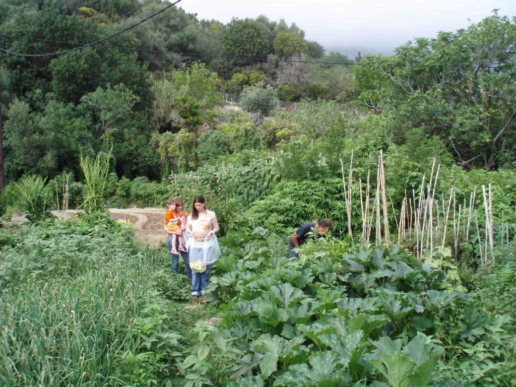 Marinos Studios At Lourdata Village Ngoại thất bức ảnh